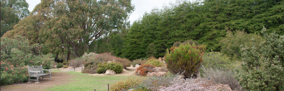 Australian garden at the Arboretum