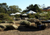 australian garden setup with tables